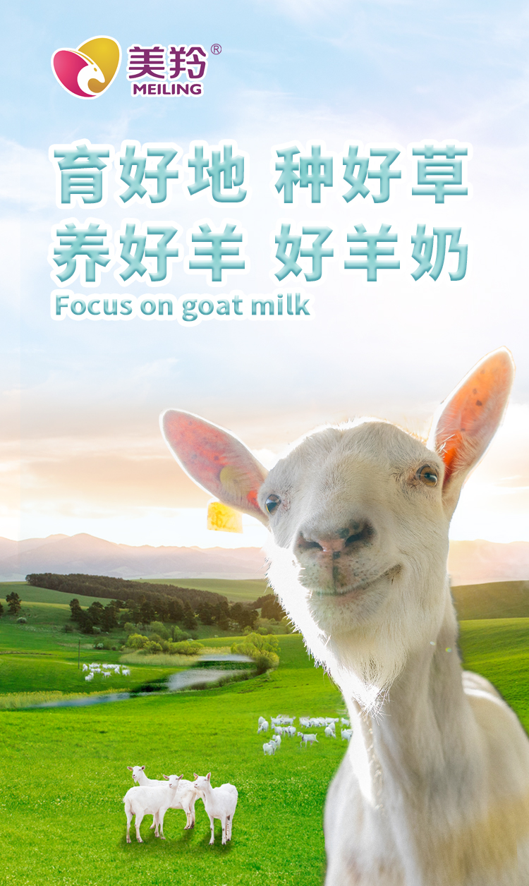 jxf吉祥坊(中国)官方网站