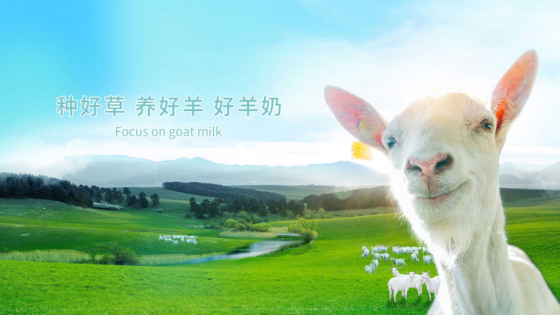 jxf吉祥坊经济循环工业园