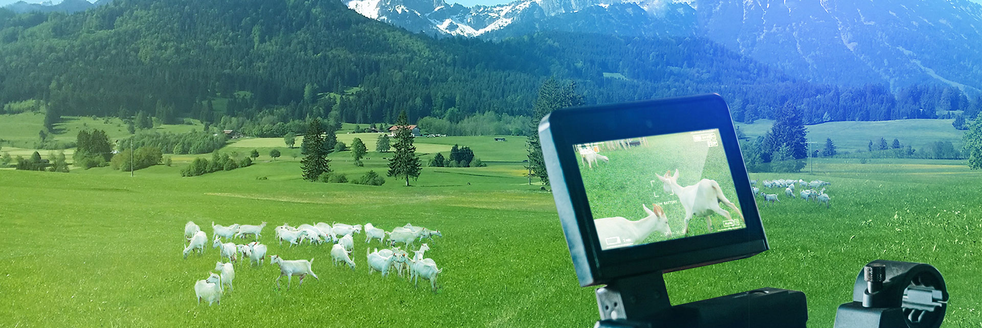 jxf吉祥坊(中国)官方网站