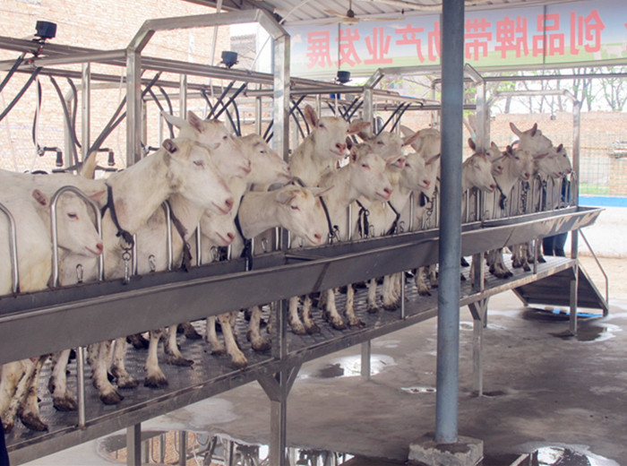 jxf吉祥坊(中国)官方网站