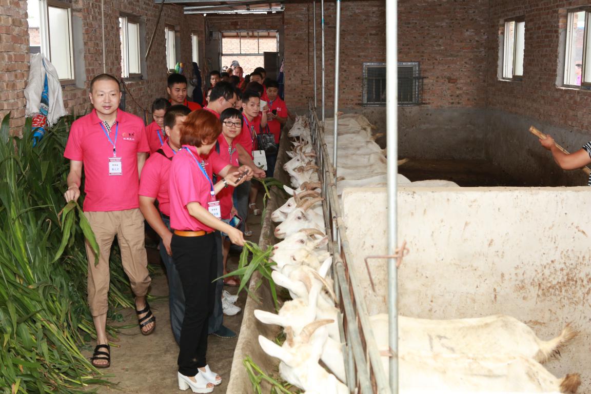 jxf吉祥坊(中国)官方网站