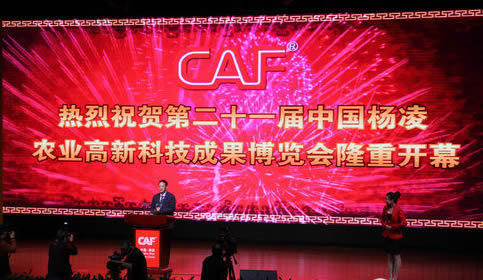 jxf吉祥坊(中国)官方网站