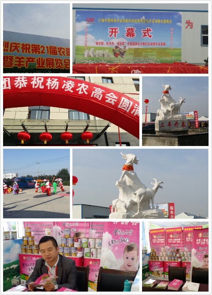 jxf吉祥坊(中国)官方网站