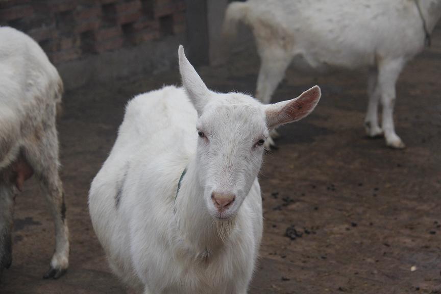 jxf吉祥坊(中国)官方网站