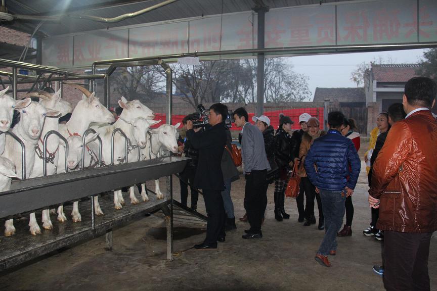 jxf吉祥坊(中国)官方网站