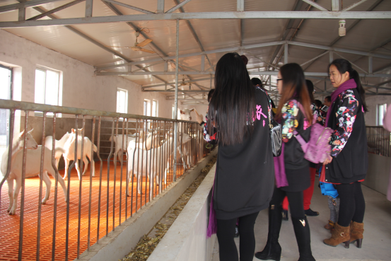 jxf吉祥坊(中国)官方网站