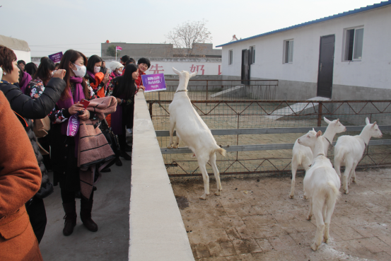 jxf吉祥坊(中国)官方网站