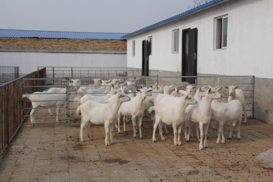 jxf吉祥坊(中国)官方网站