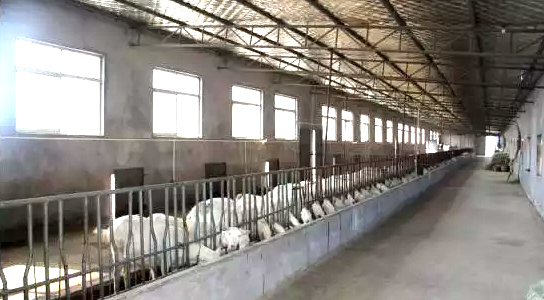 jxf吉祥坊(中国)官方网站