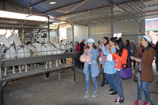 jxf吉祥坊(中国)官方网站