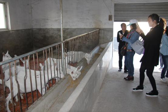 jxf吉祥坊(中国)官方网站