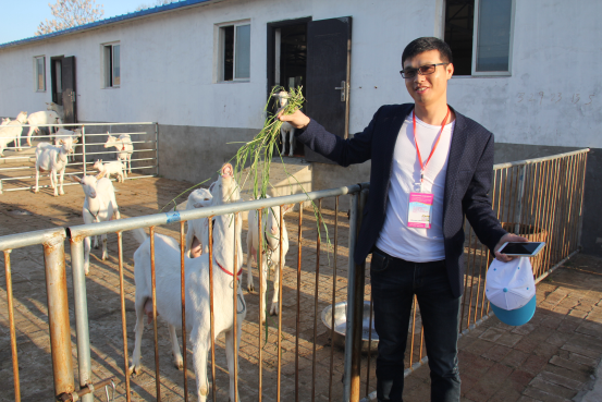 jxf吉祥坊(中国)官方网站