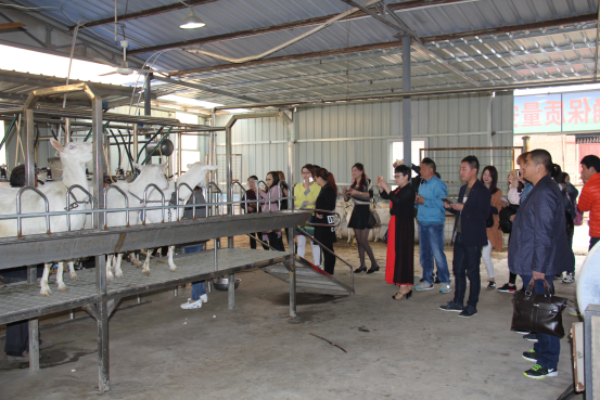 jxf吉祥坊(中国)官方网站