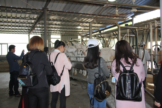 jxf吉祥坊(中国)官方网站