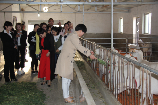 jxf吉祥坊(中国)官方网站