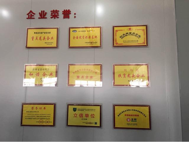 jxf吉祥坊(中国)官方网站