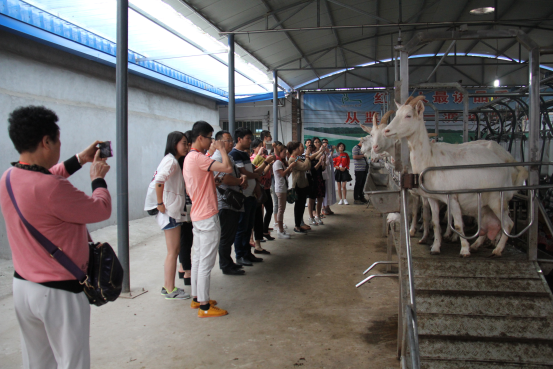 jxf吉祥坊(中国)官方网站