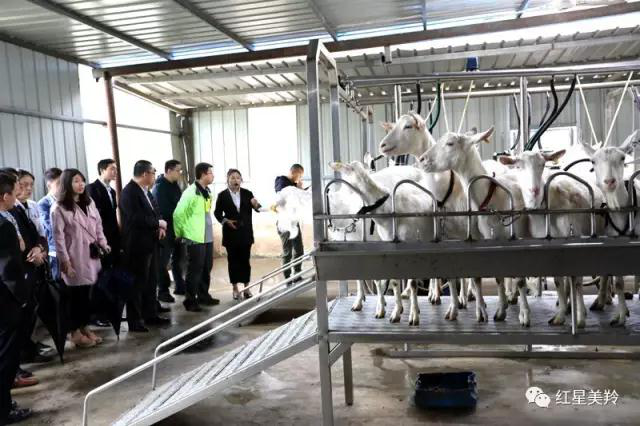 jxf吉祥坊(中国)官方网站