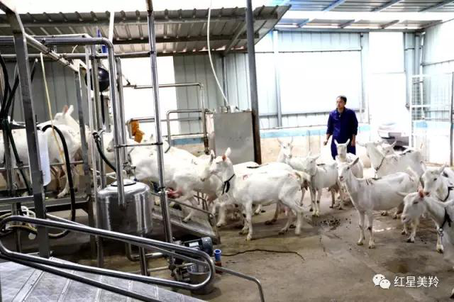 jxf吉祥坊(中国)官方网站