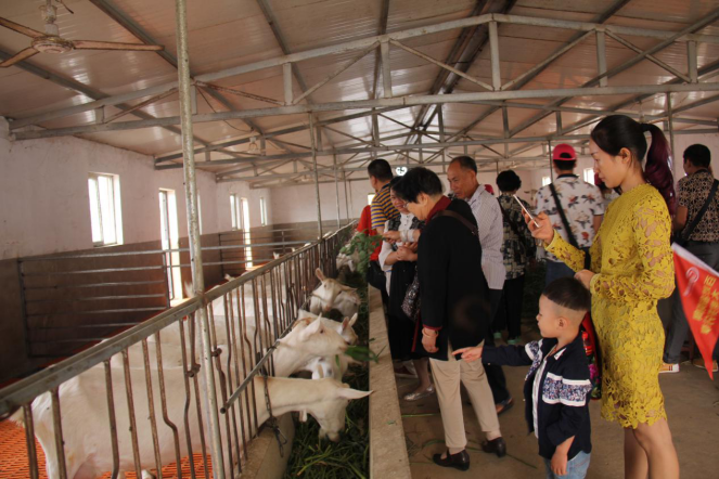 jxf吉祥坊(中国)官方网站