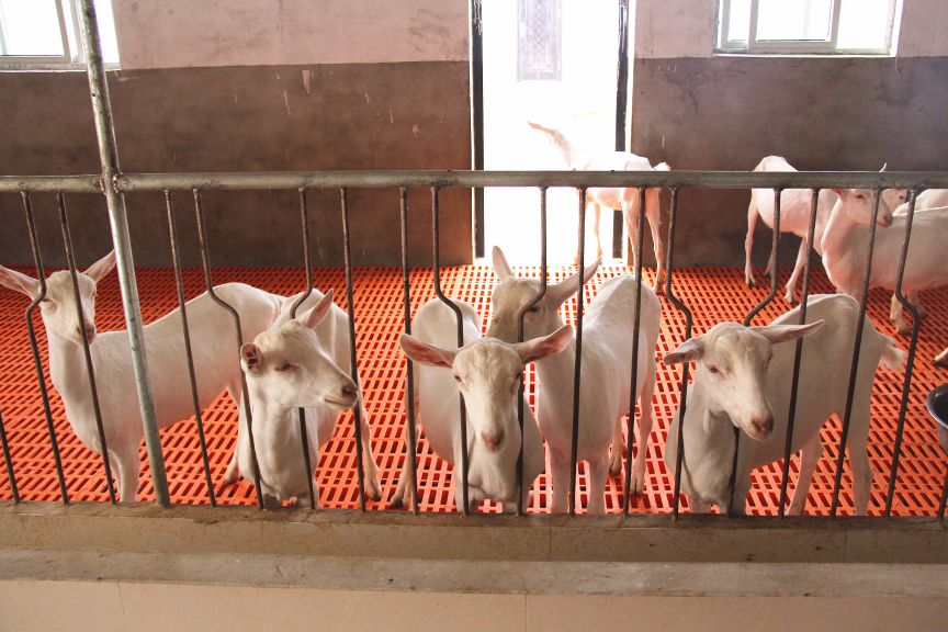 jxf吉祥坊(中国)官方网站