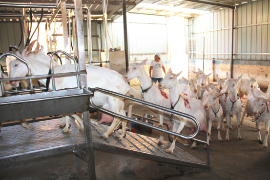 jxf吉祥坊(中国)官方网站