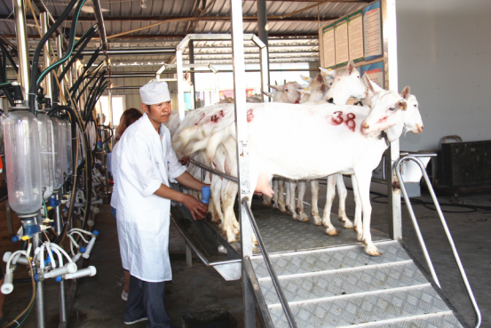 jxf吉祥坊(中国)官方网站