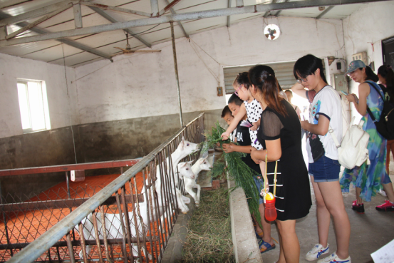 jxf吉祥坊(中国)官方网站