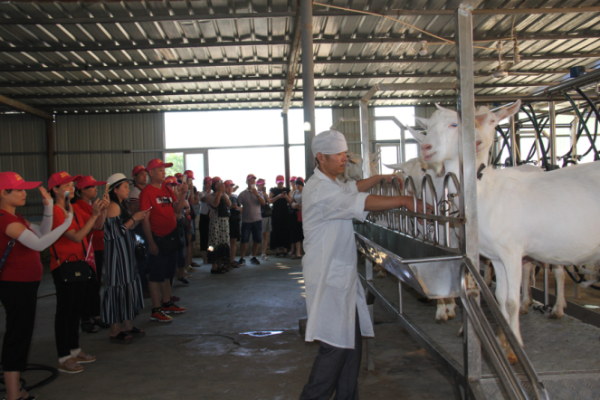 jxf吉祥坊(中国)官方网站