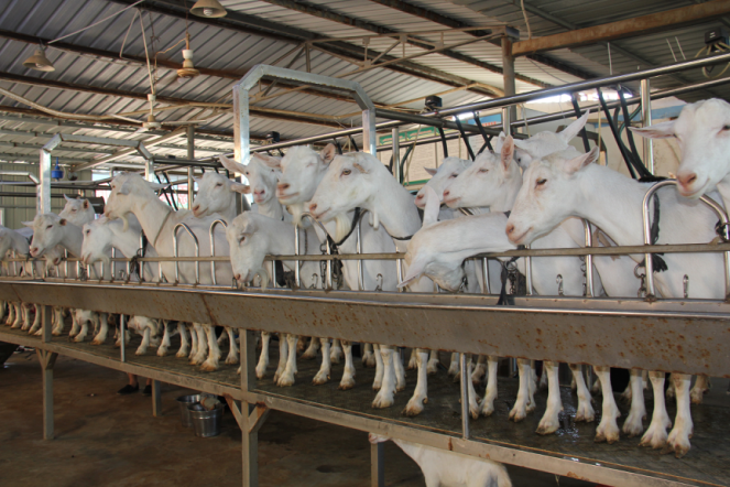 jxf吉祥坊(中国)官方网站