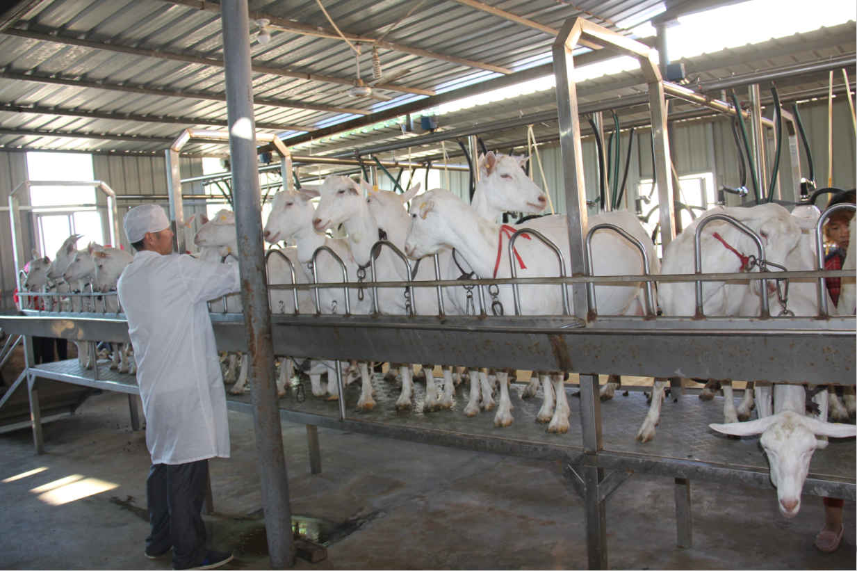 jxf吉祥坊(中国)官方网站