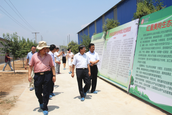 jxf吉祥坊(中国)官方网站