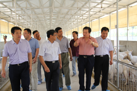 jxf吉祥坊(中国)官方网站