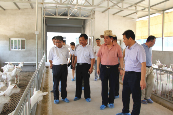 jxf吉祥坊(中国)官方网站