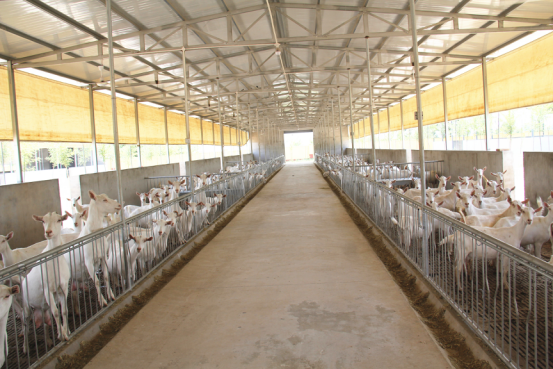 jxf吉祥坊(中国)官方网站