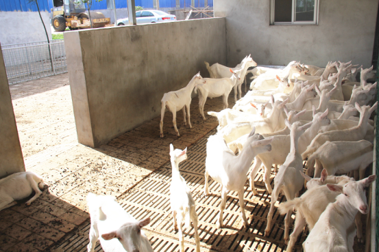 jxf吉祥坊(中国)官方网站