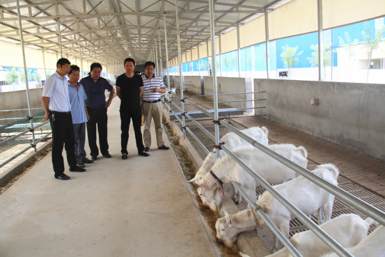 jxf吉祥坊(中国)官方网站