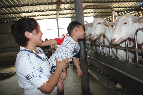 jxf吉祥坊(中国)官方网站