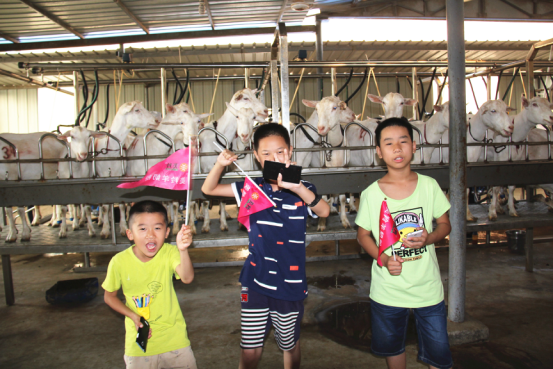 jxf吉祥坊(中国)官方网站