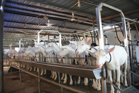 jxf吉祥坊(中国)官方网站