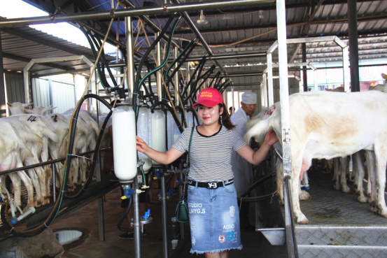 jxf吉祥坊(中国)官方网站