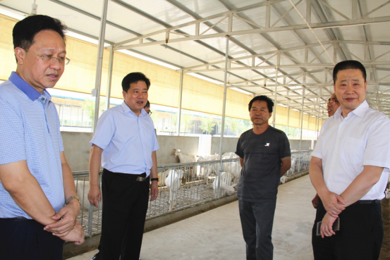 jxf吉祥坊(中国)官方网站