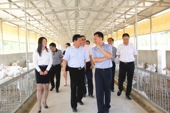 jxf吉祥坊(中国)官方网站