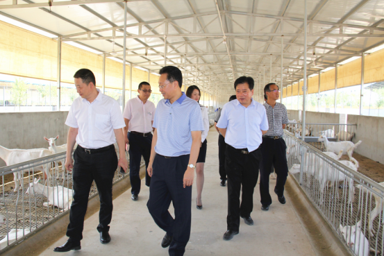 jxf吉祥坊(中国)官方网站