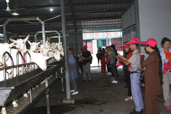 jxf吉祥坊(中国)官方网站