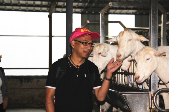 jxf吉祥坊(中国)官方网站