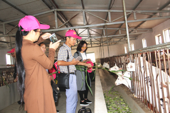 jxf吉祥坊(中国)官方网站