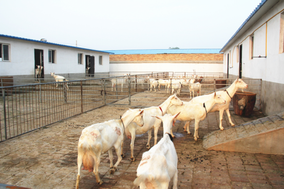 jxf吉祥坊(中国)官方网站