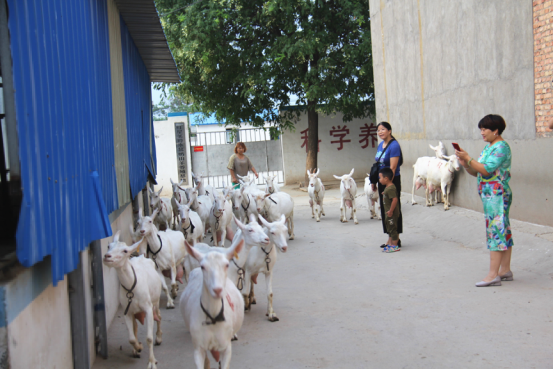 jxf吉祥坊(中国)官方网站