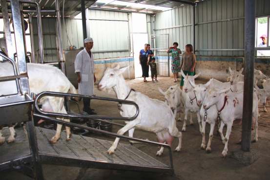 jxf吉祥坊(中国)官方网站